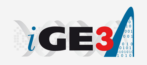 iGE3 logo - Original version