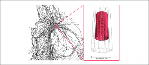 nanocylindre_cytosquelette_1.jpg